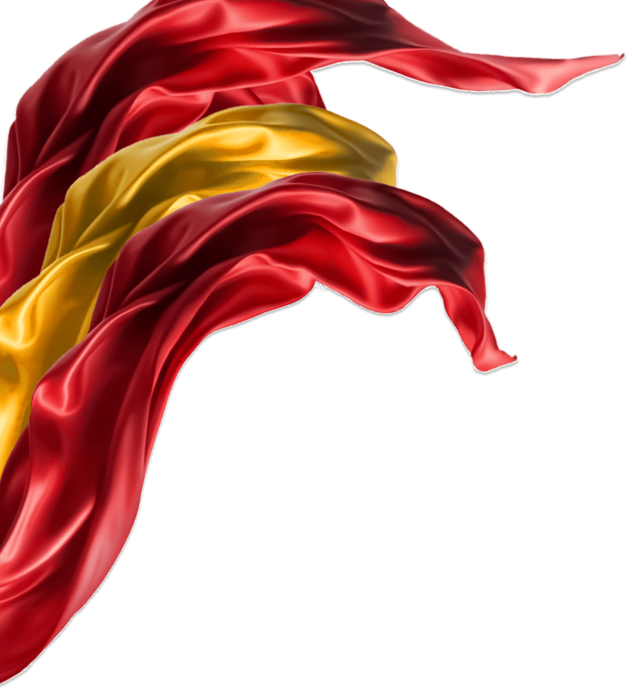 Party Flag
